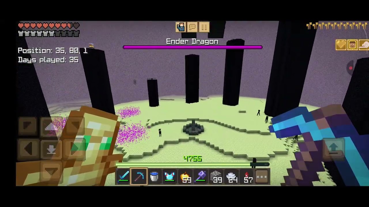 Minecraft hard mod dragon king Vs ender dragon 