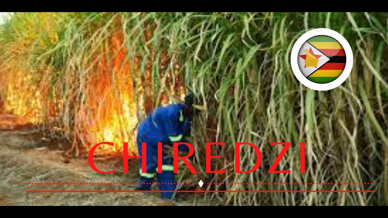 Tranquil Chiredzi Town Surrounds ~ Sugarcane Heartland of Zimbabwe