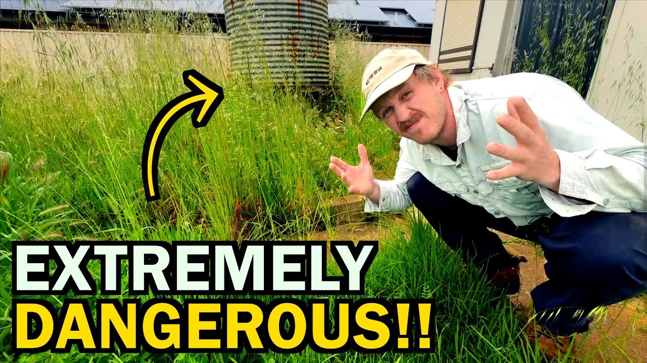 A DEADLY Disaster Waiting to STRIKE! — Neighbors Were TERRIFIED!