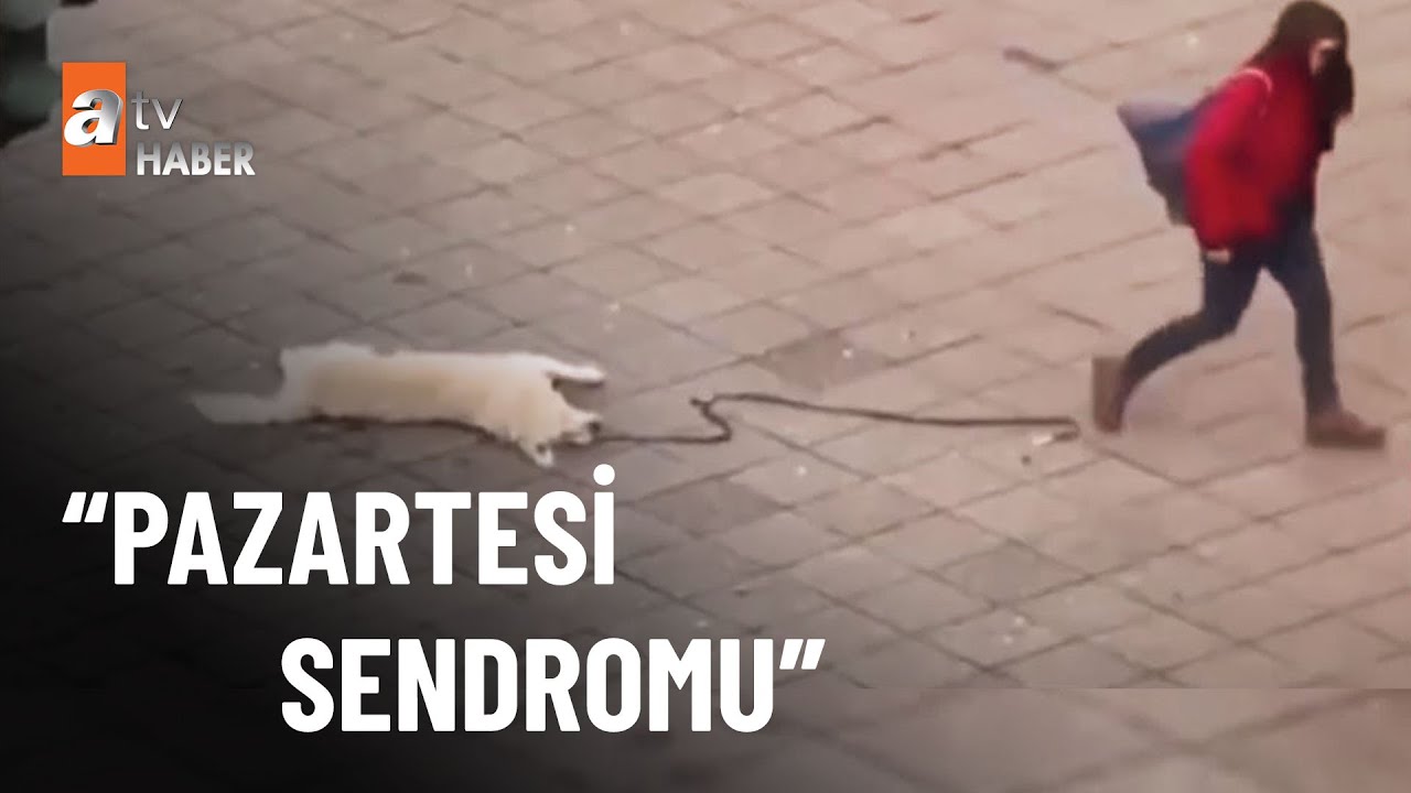 Dünyadan öne çıkan haberler - - atv Ana Haber 30 Ocak 2023