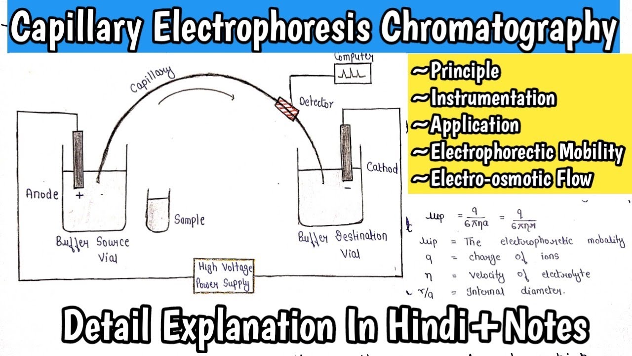 Capillary Electrophoresis Chromatography | Electrophoretic Mobility | Electroosmotic Flow |MSc.Notes