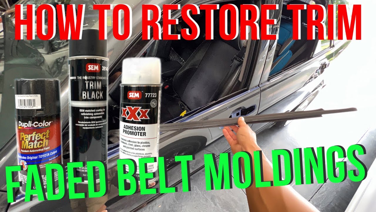 How to Restore Lexus IS300 Door Trim Belt Molding and Mirrors | Door Handle Removal