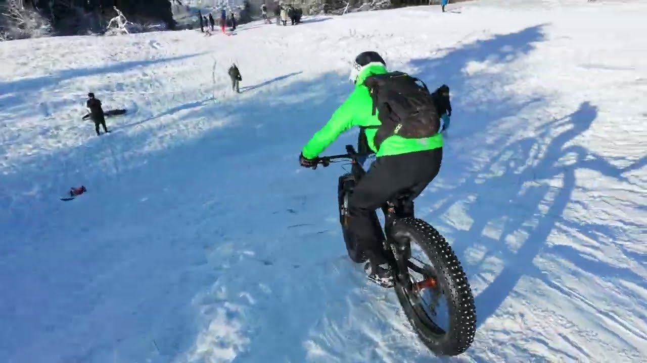 FatFeldiSnowMass