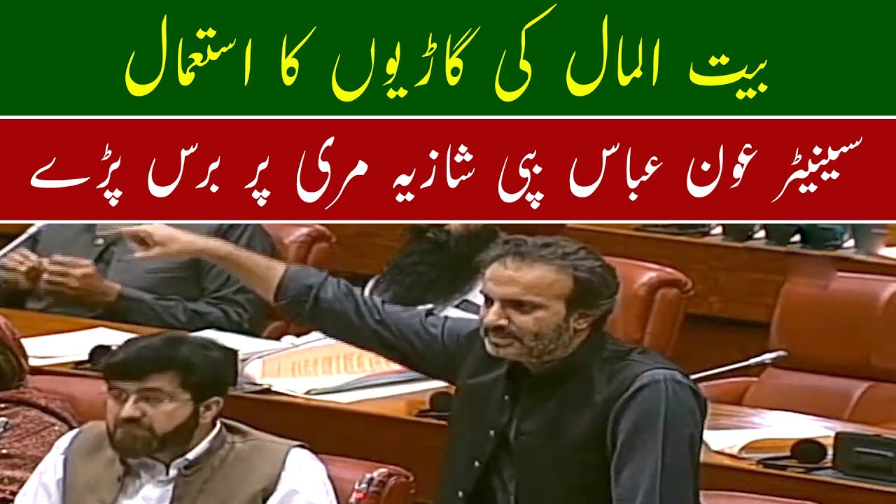PTI's Senator Aon Abbas Buppi Speech at Senate of Pakistan