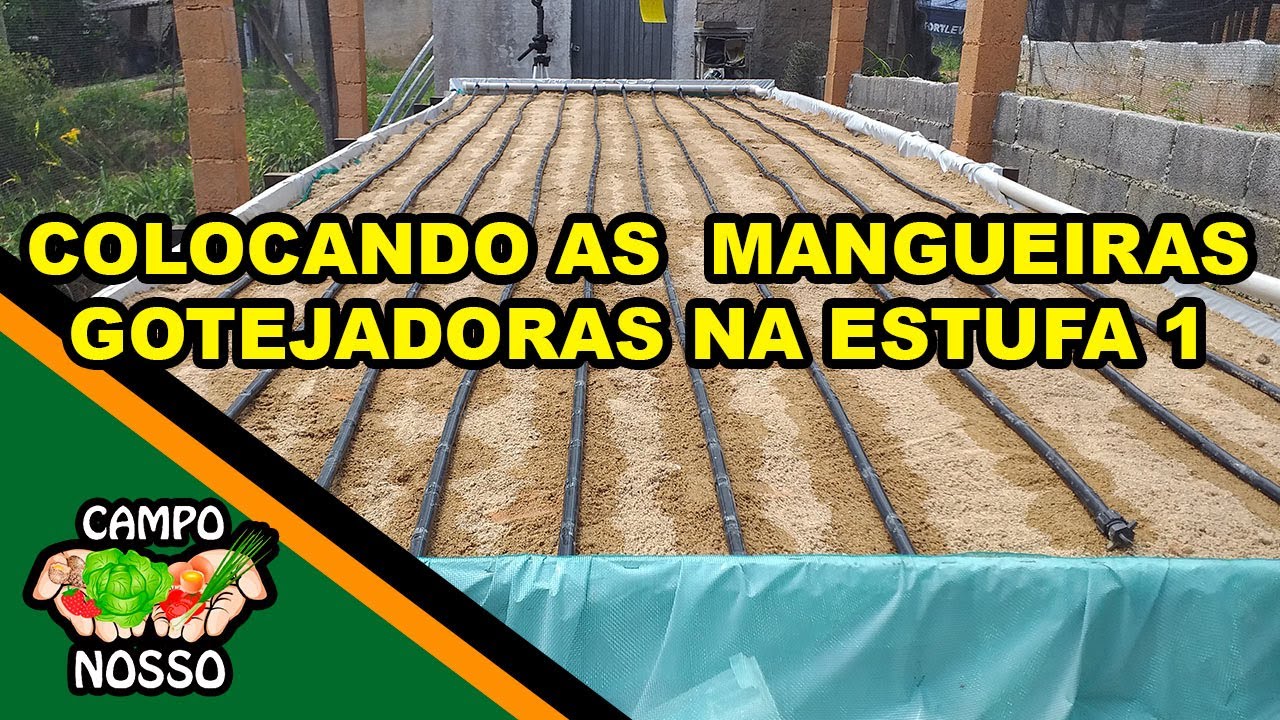 Colocando as mangueiras gotejadoras na bancada de areia #hidroponia #agro