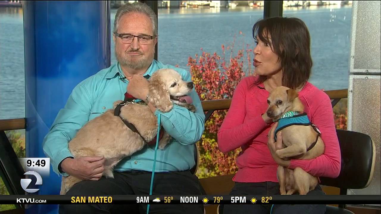 Sneak Peek at the Bay Area Pet Fair