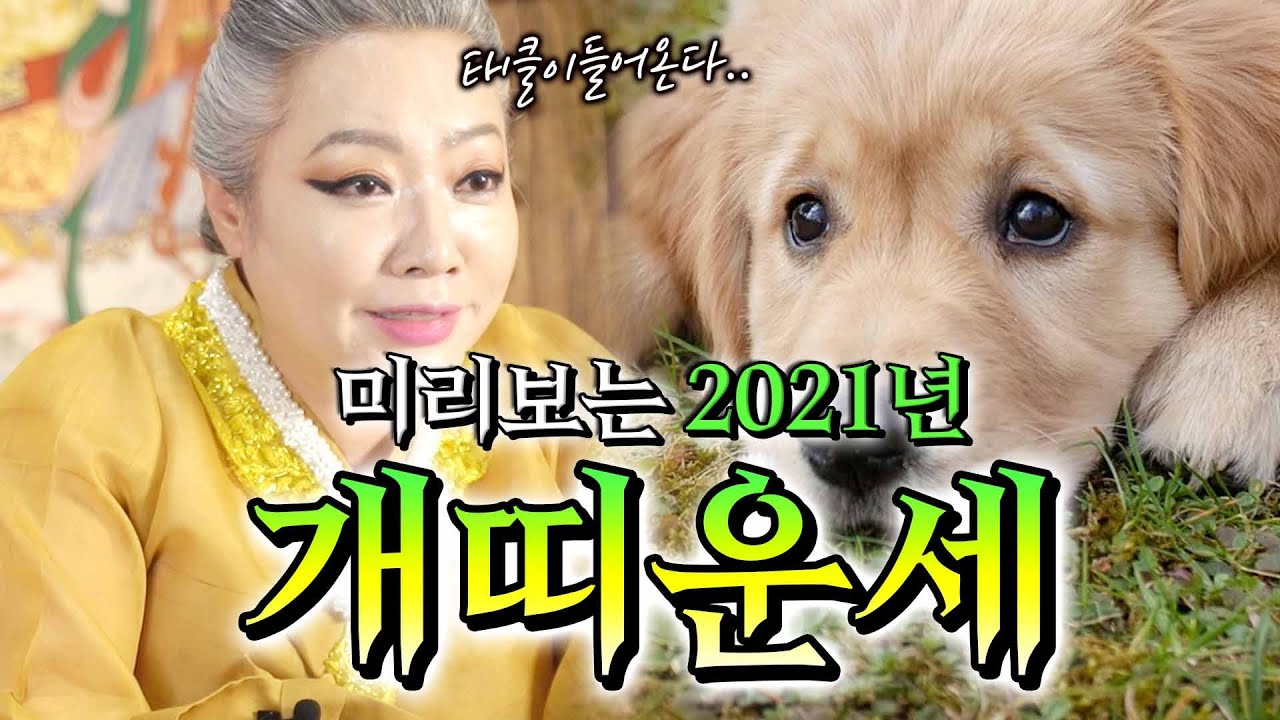 2021년 띠별운세 개띠 운세 알려드립니다 !! 
