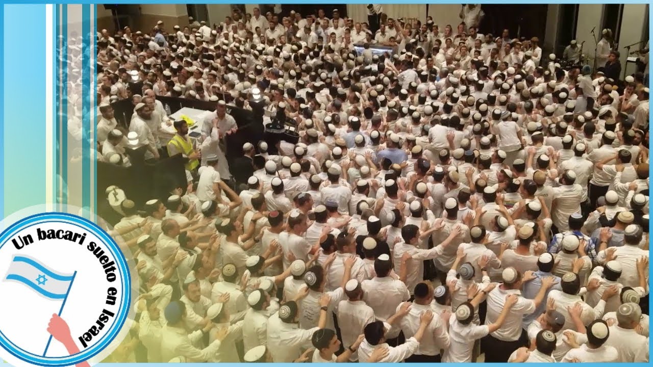 La Alegria por la Torah !