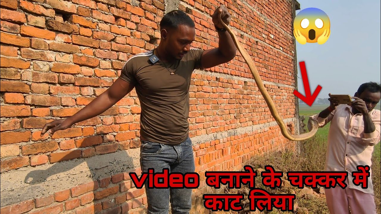 एक लापरवाही और गई जा!न 😲 कोबरा का वीडियो बनाने के चक्कर में देखिए क्या हुआ 