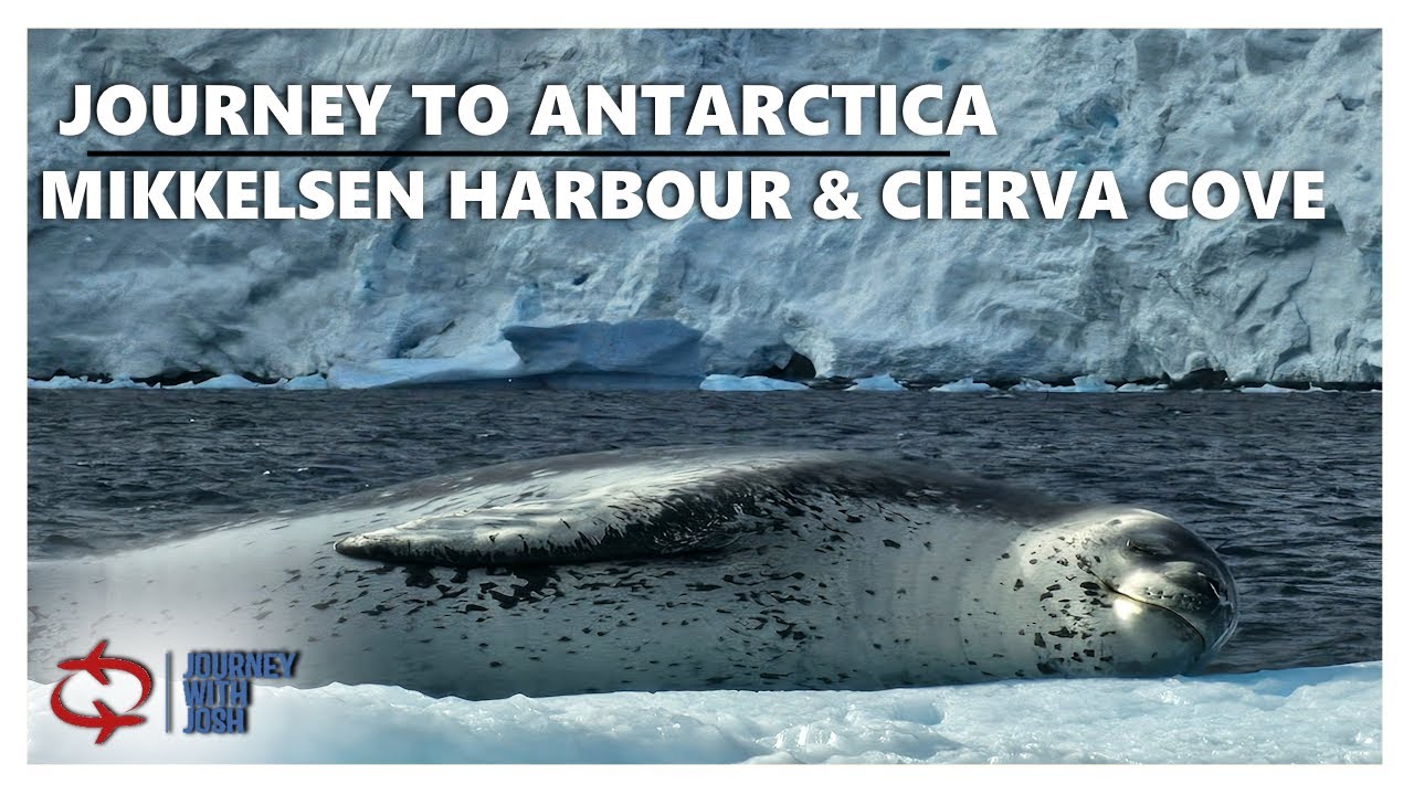 Journey to Antarctica: Drake Passage, Icebergs and Wildlife in Cierva Cove