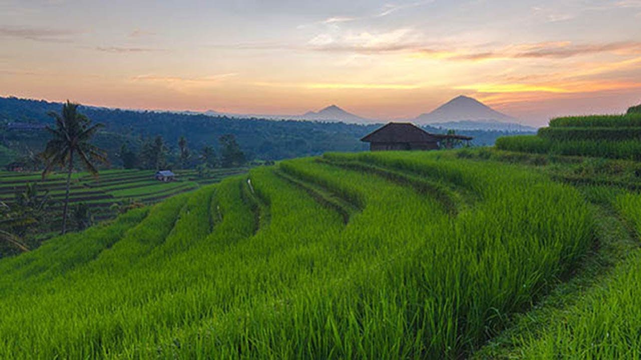Relaksasi Musik Sunda di Jatiluwih