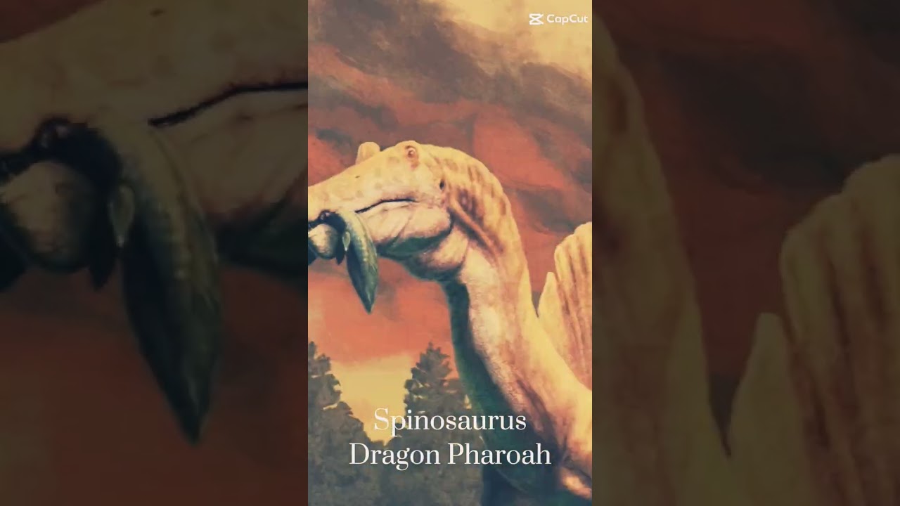 The 4 Big Theropods #Dinosaurs #Edit #Theropod #Paleontology #dinosauredit