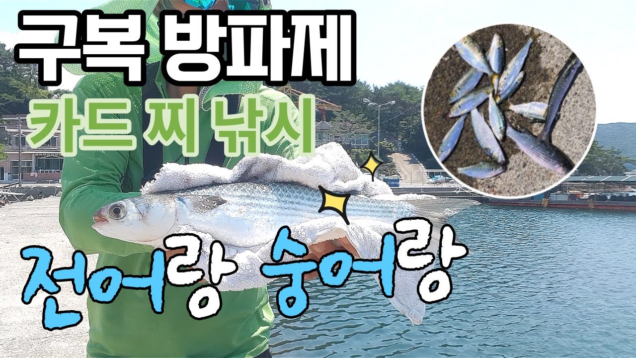 전어,숭어카드찌낚시(설명서참조)