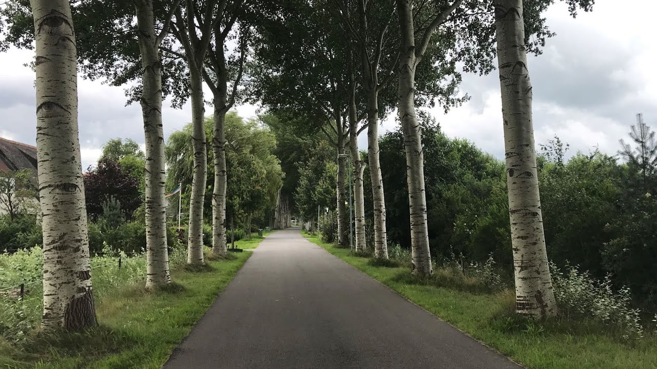 Möge die Straße uns zusammenführen - zum Mitsingen
