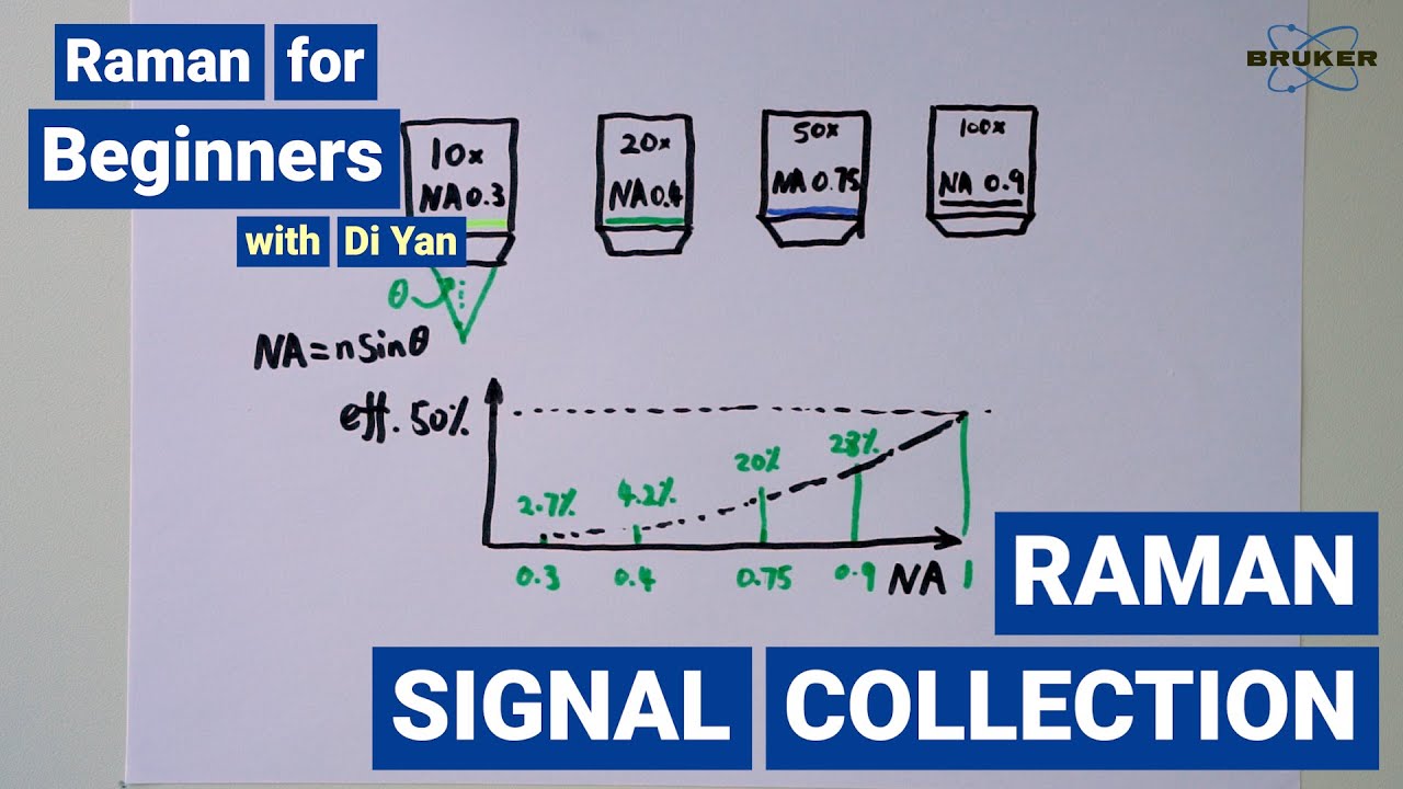 Numerical Aperture | Raman for Beginners | Raman Signal Collection