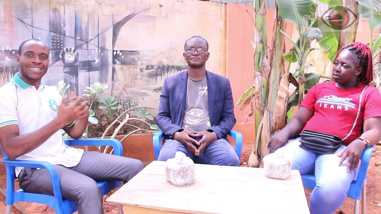 Production du champignon au Togo, une prospective Agro-alimentaire