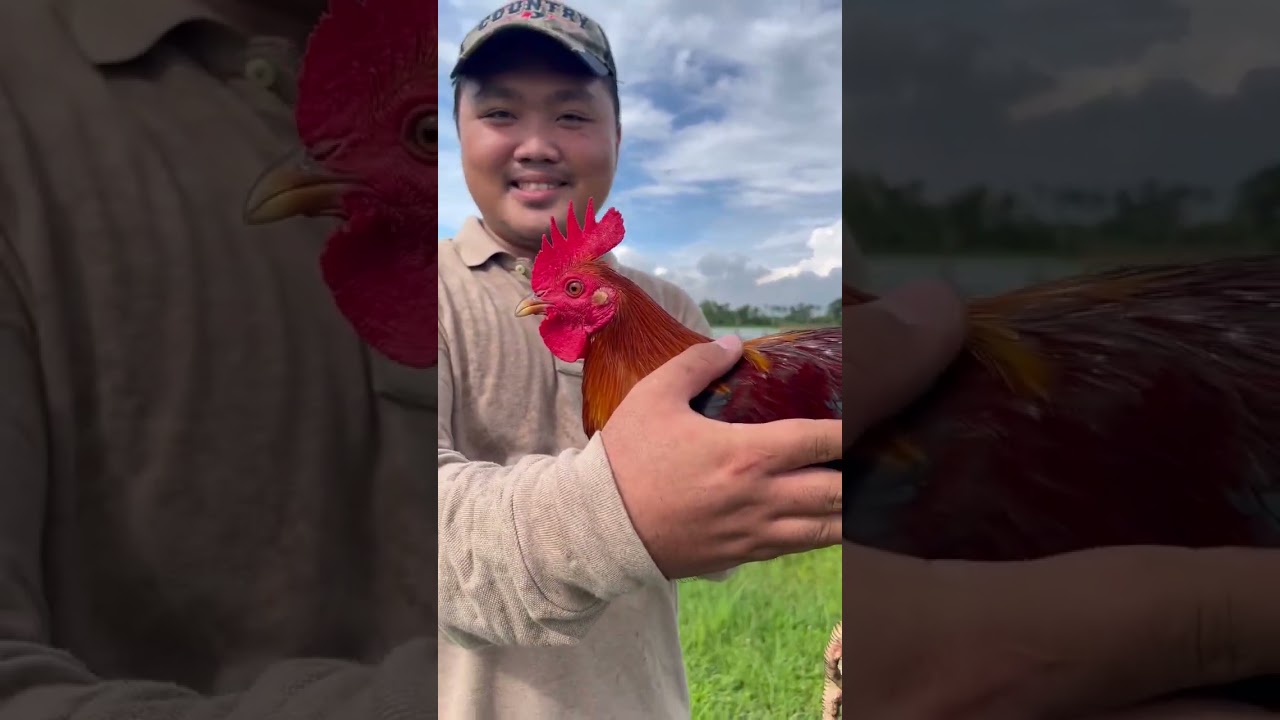 RSC GAMEFARM | CATACTE, BUSTOS BULACAN