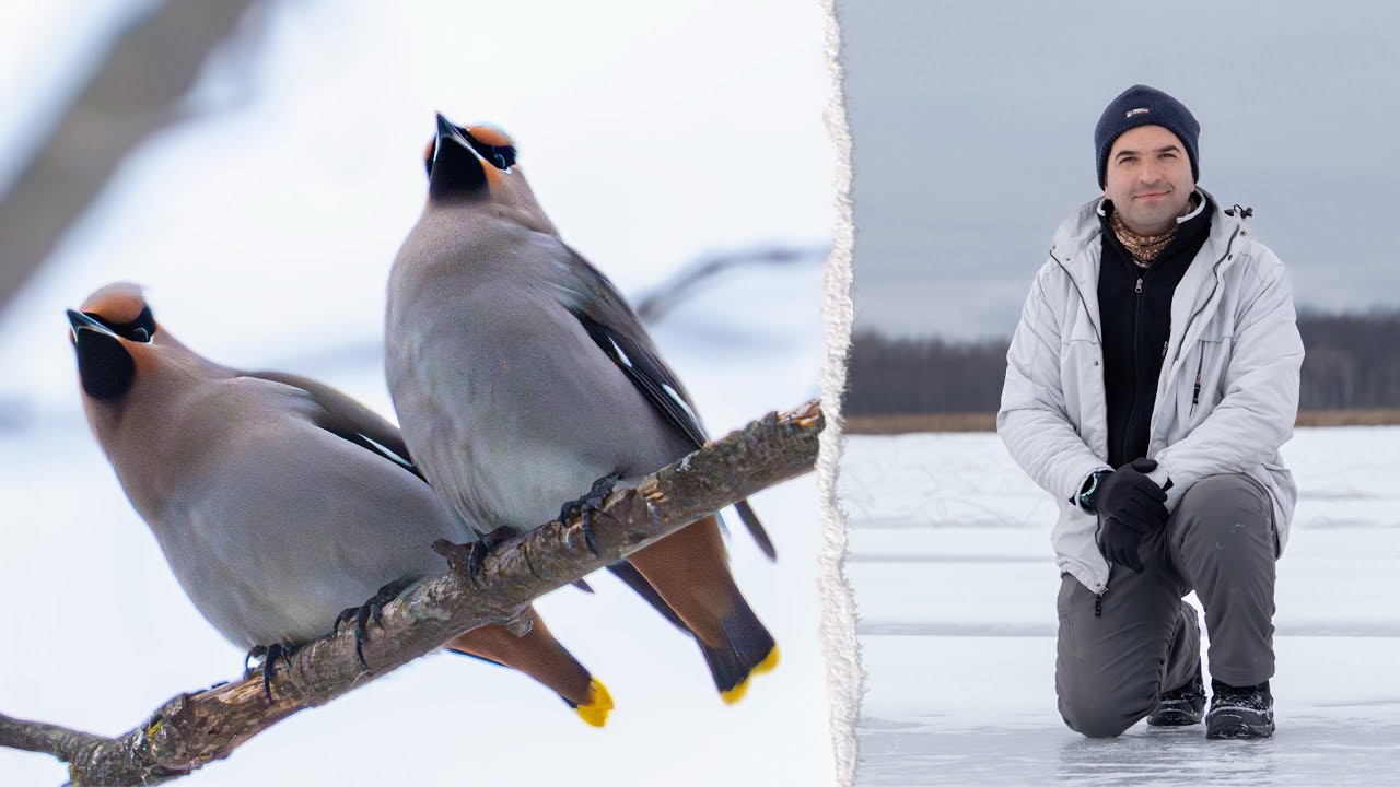 Nature and Wildlife Photography | Winter Adventure in 4K | Ep. 1 - Tiny Marsh