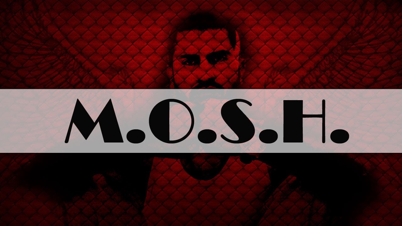 The Mosh - Reteta Succesului