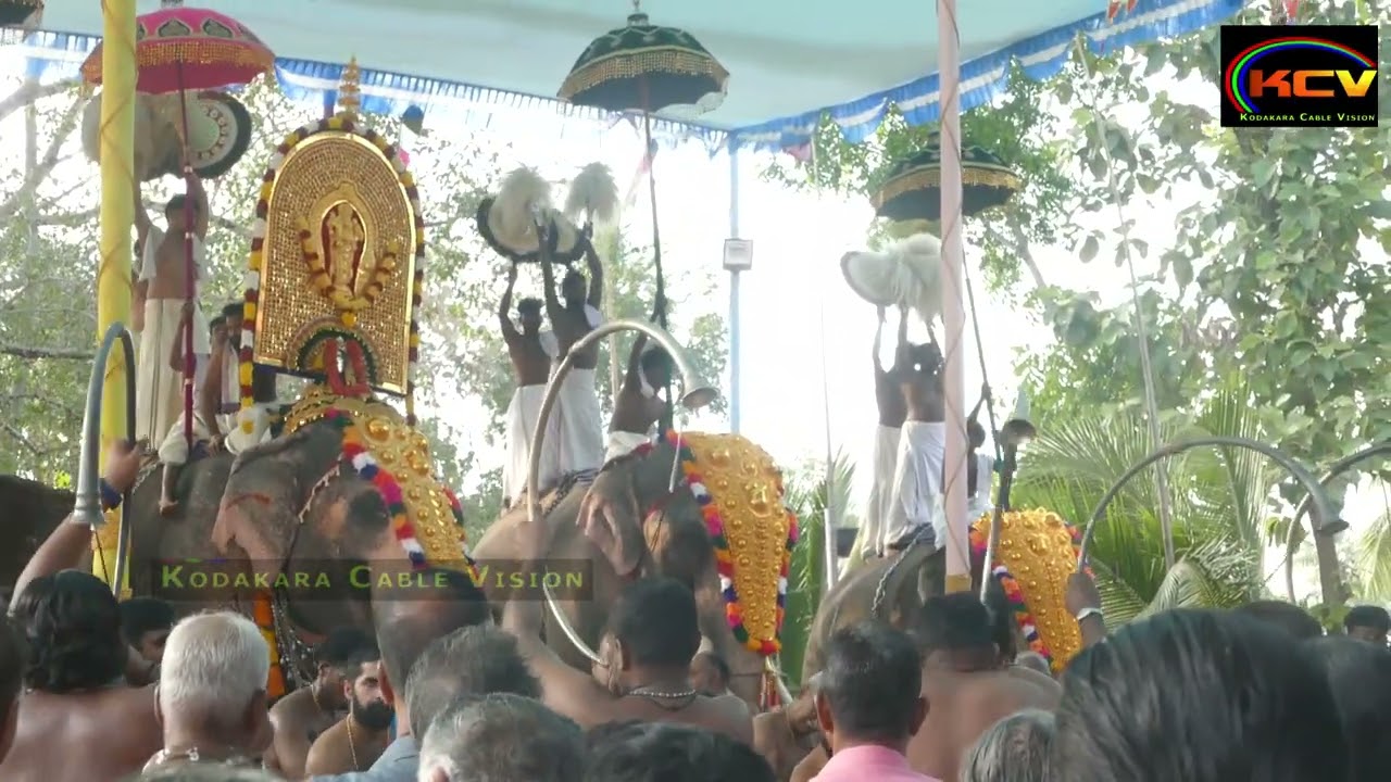 കൊടകര പുത്തൂക്കാവ് ദേവീക്ഷേത്രത്തിലെ താലപ്പൊലി മഹോല്‍സവം  ഭക്തി സാന്ദ്രമായി ആഘോഷിച്ചു.