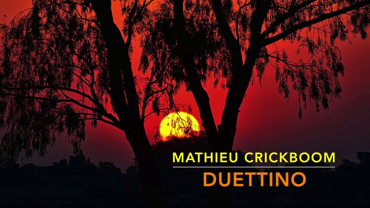 DUETTINO - MATHIEU CRICKBOOM (violin duet)