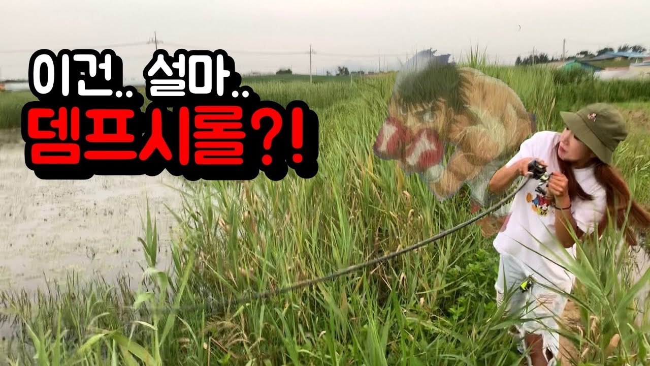 여름 배스 낚시하면 역시 프로그 탑워터! (feat.뎀프시롤)