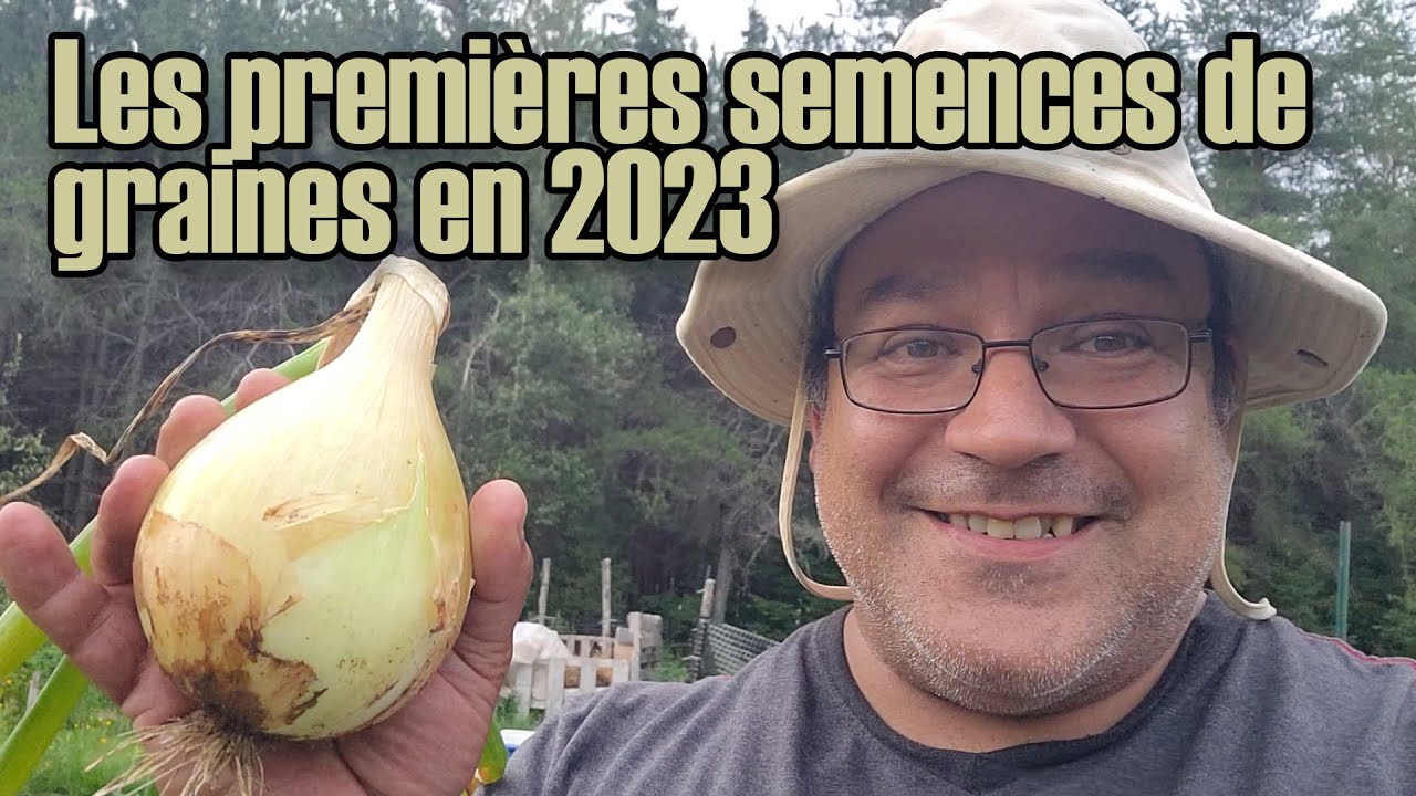 planter des graines d'oignons