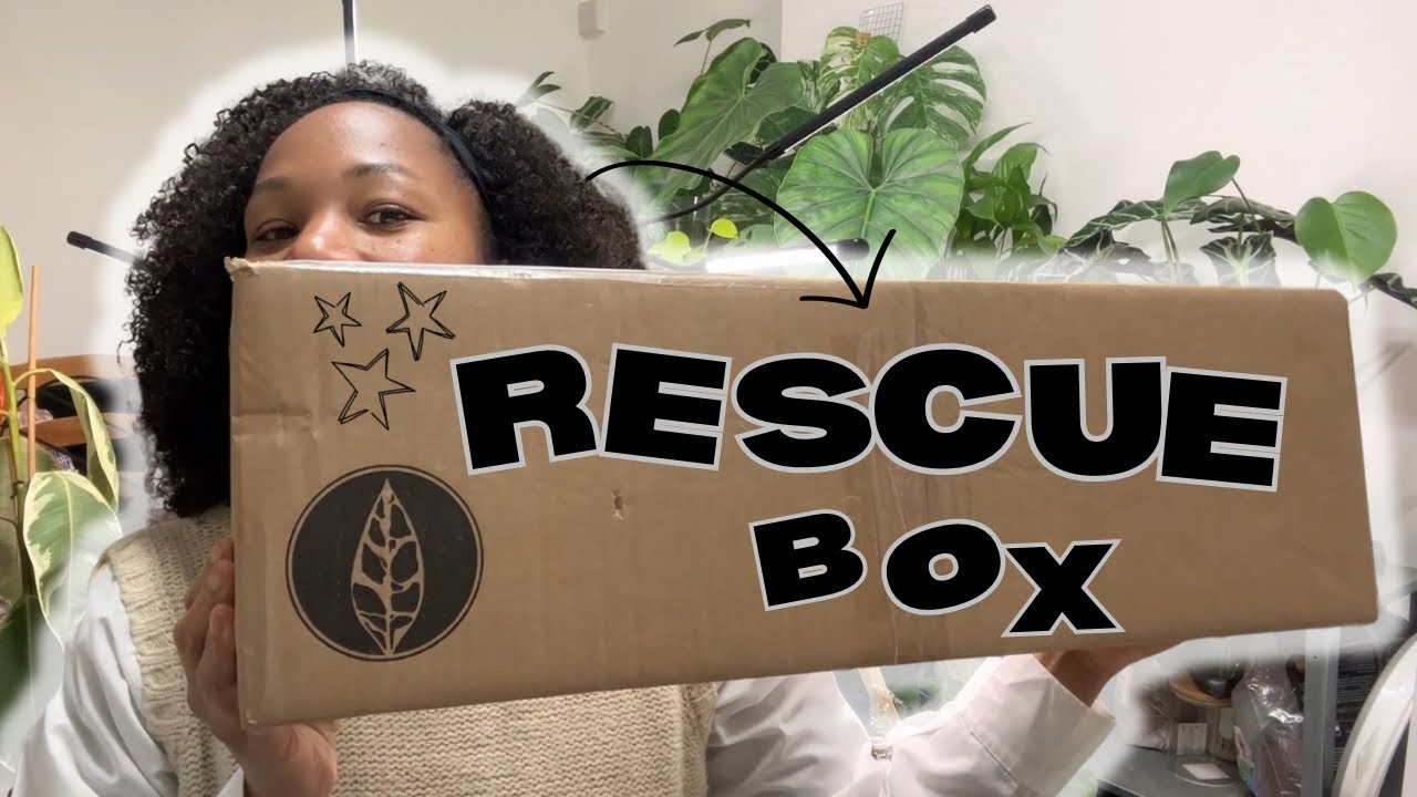 Rare plant shop rescue box | unboxing