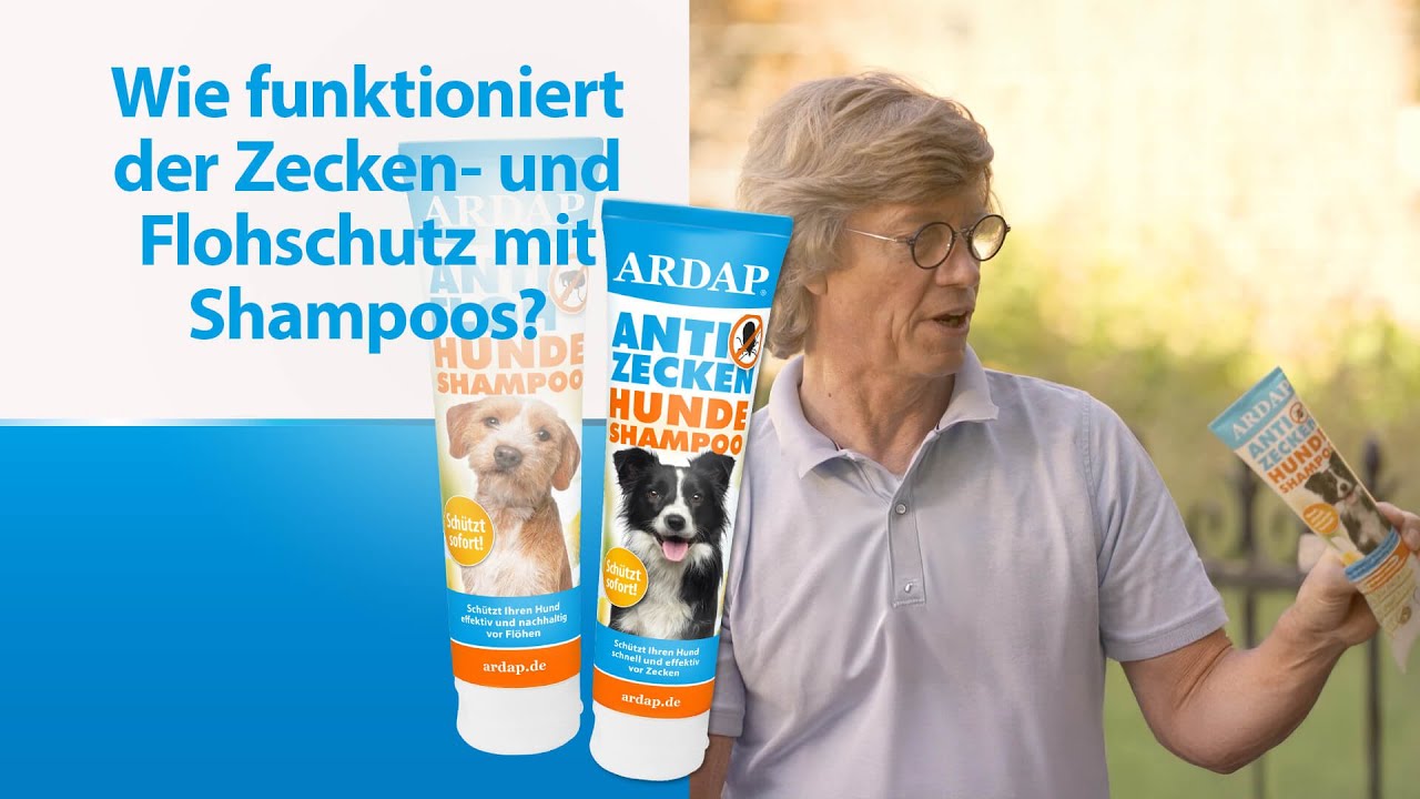 Floh- & Zeckenshampoo richtig anwenden &ndash; Dosierung, Einmassieren, Wirkung
