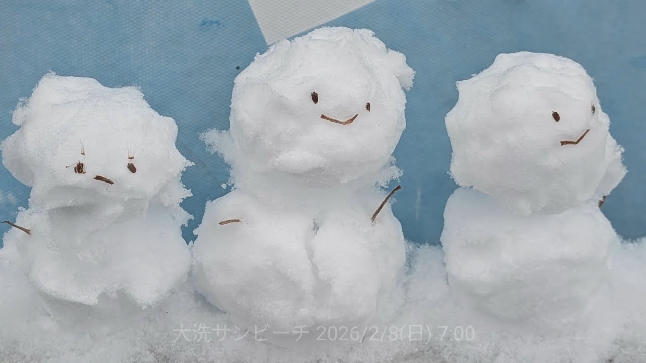 大洗サンビーチ 2026/2/8(日) 7:00 もも