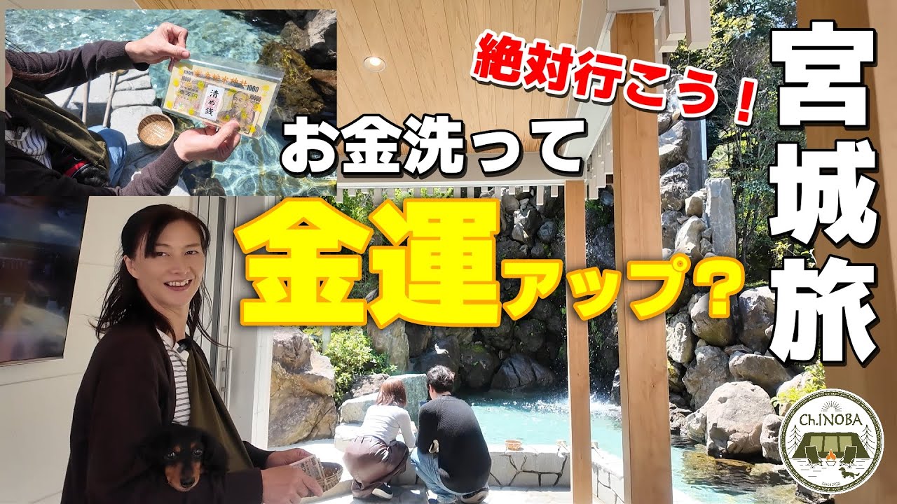 【車中泊で巡る宮城観光 】宮城県最強？とても煌びやかな金運アップ金蛇水神社に行ってきました。【一目千本桜】