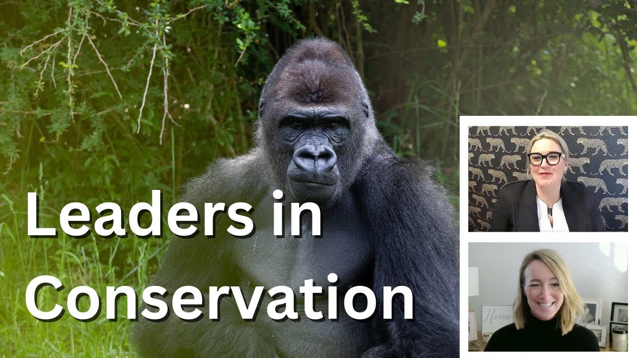 Saving Animals: A Glimpse into Aspinall Foundation's Groundbreaking Work