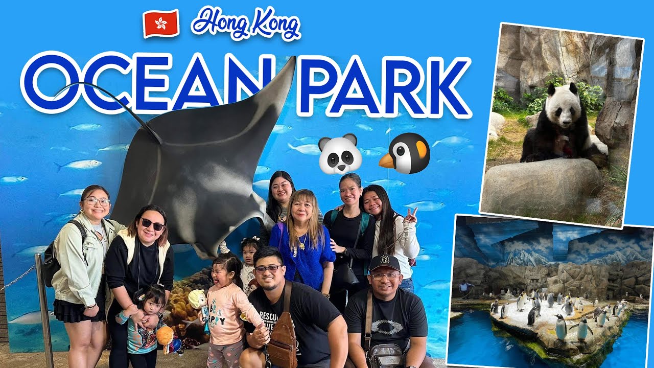 HONG KONG 2023 - Fun day at Ocean Park [4K]