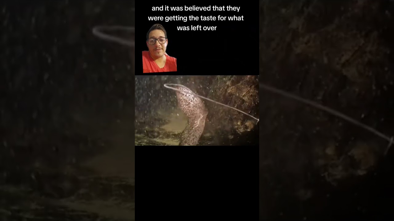 The Goonch is the stuff of nightmares