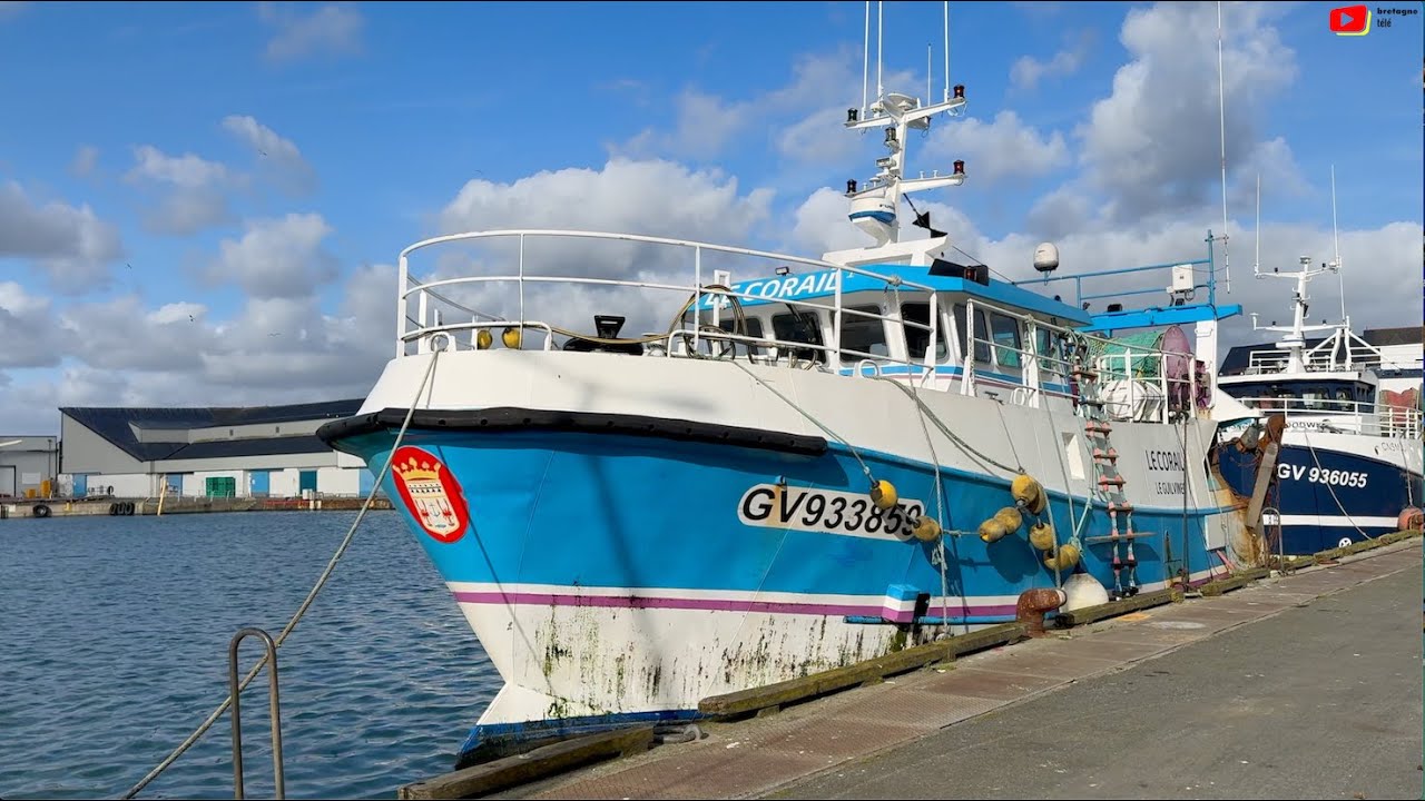 LOCTUDY  🇲🇫   |   Grandes Marées au Port de Pêche  |  Bretagne Télé