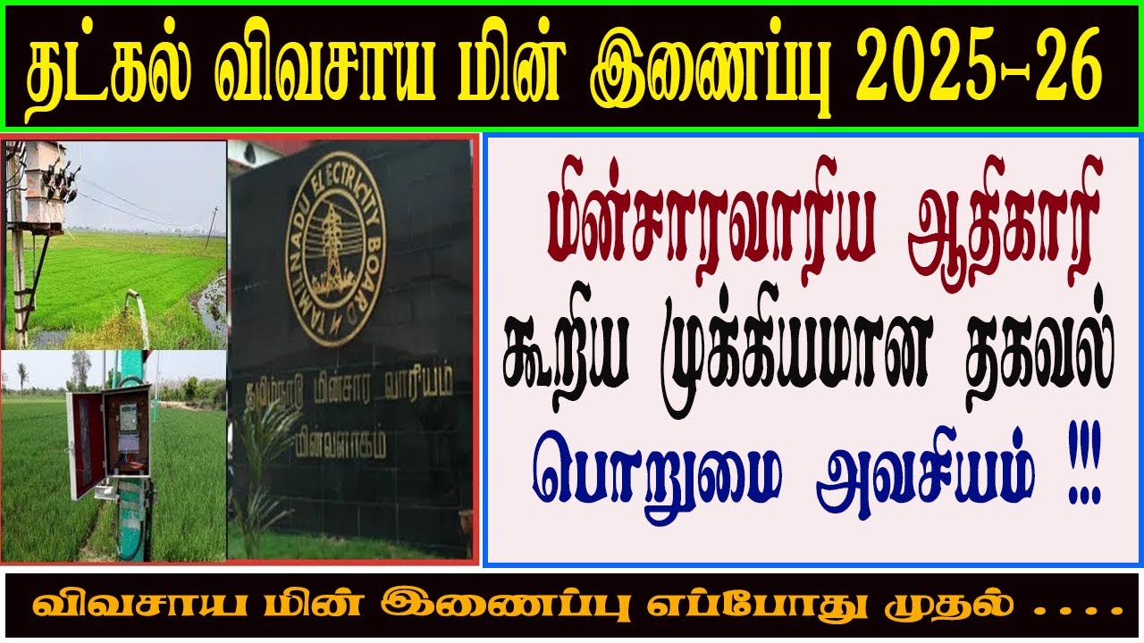 🔥TATKAL திட்டத்தில் மின்இணைப்பு | மின்வாரிய ஆதிகாரி கூறிய முக்கிய தகவல் | மின் இணைப்பு எப்போது முதல்