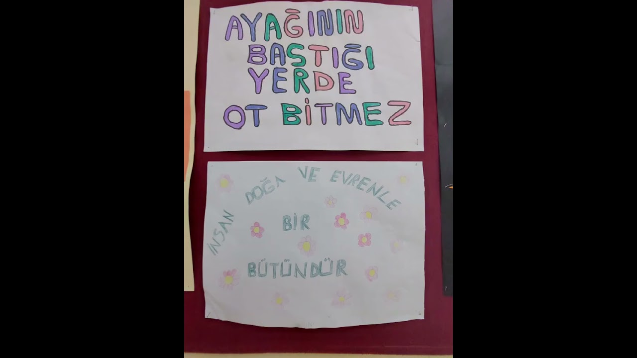 Dilimizin Zenginlikleri Projesi Afiş Çalışmaları