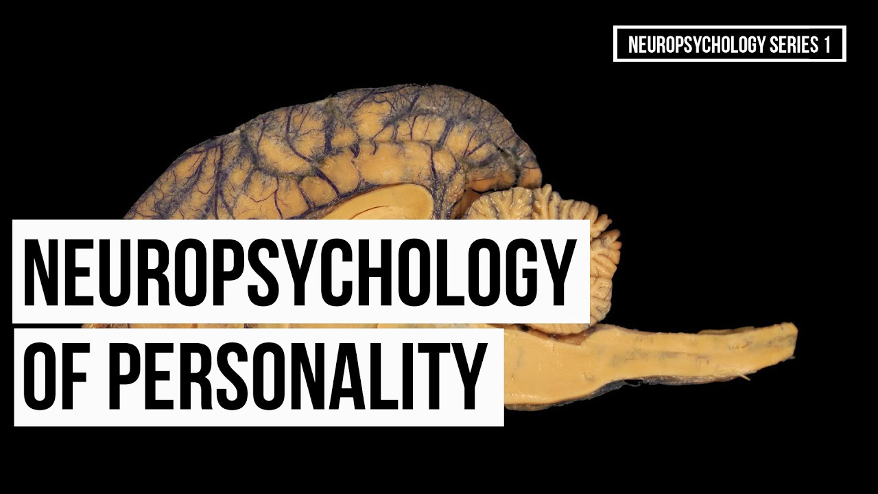 Neuropsychology of Personality (Series 1)
