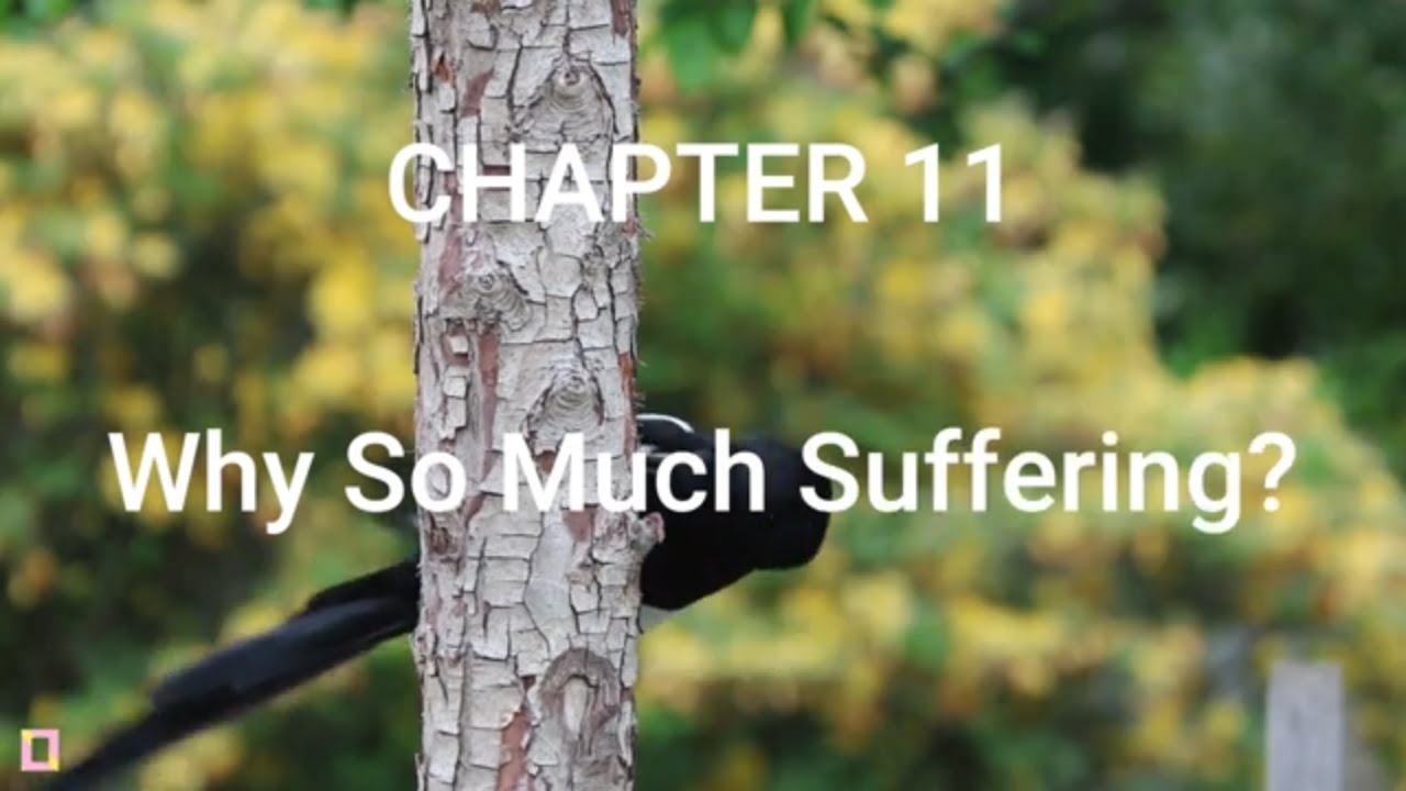 Why Am I Suffering So Much In life | Why So much Suffering In The World | God's Words Explain