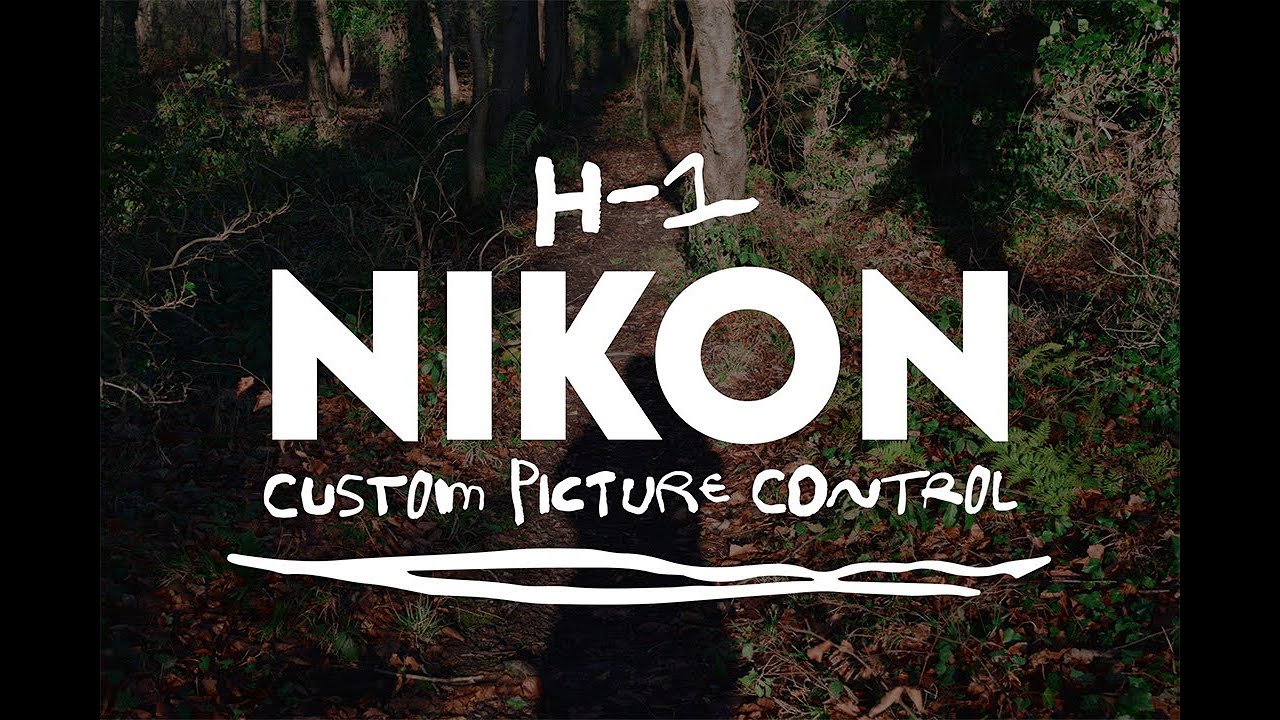 Система управления изображением Nikon, созданная по образцу Fujifilm Pro 400H (H-1)
