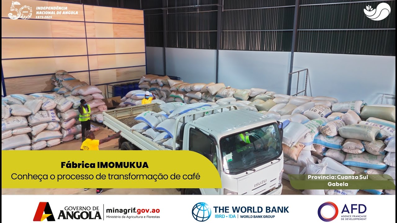 Conheça o processo de transformação de café, da fábrica IMOMUKUA