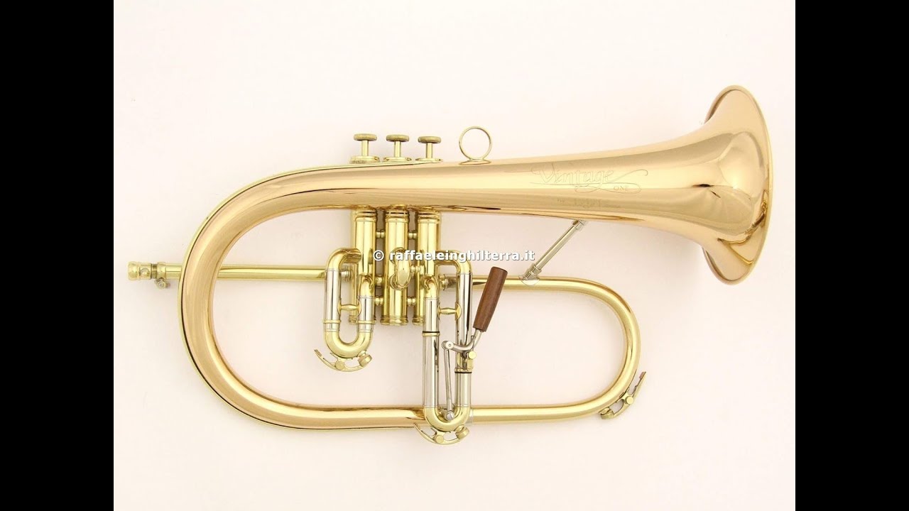 Something For Joey-Flugelhorn Cover