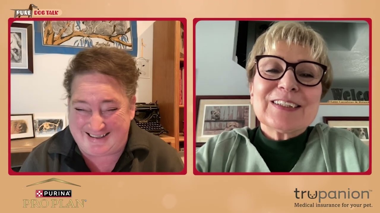 Karen Fitzpatrick on Dual Dogs and Border Terriers