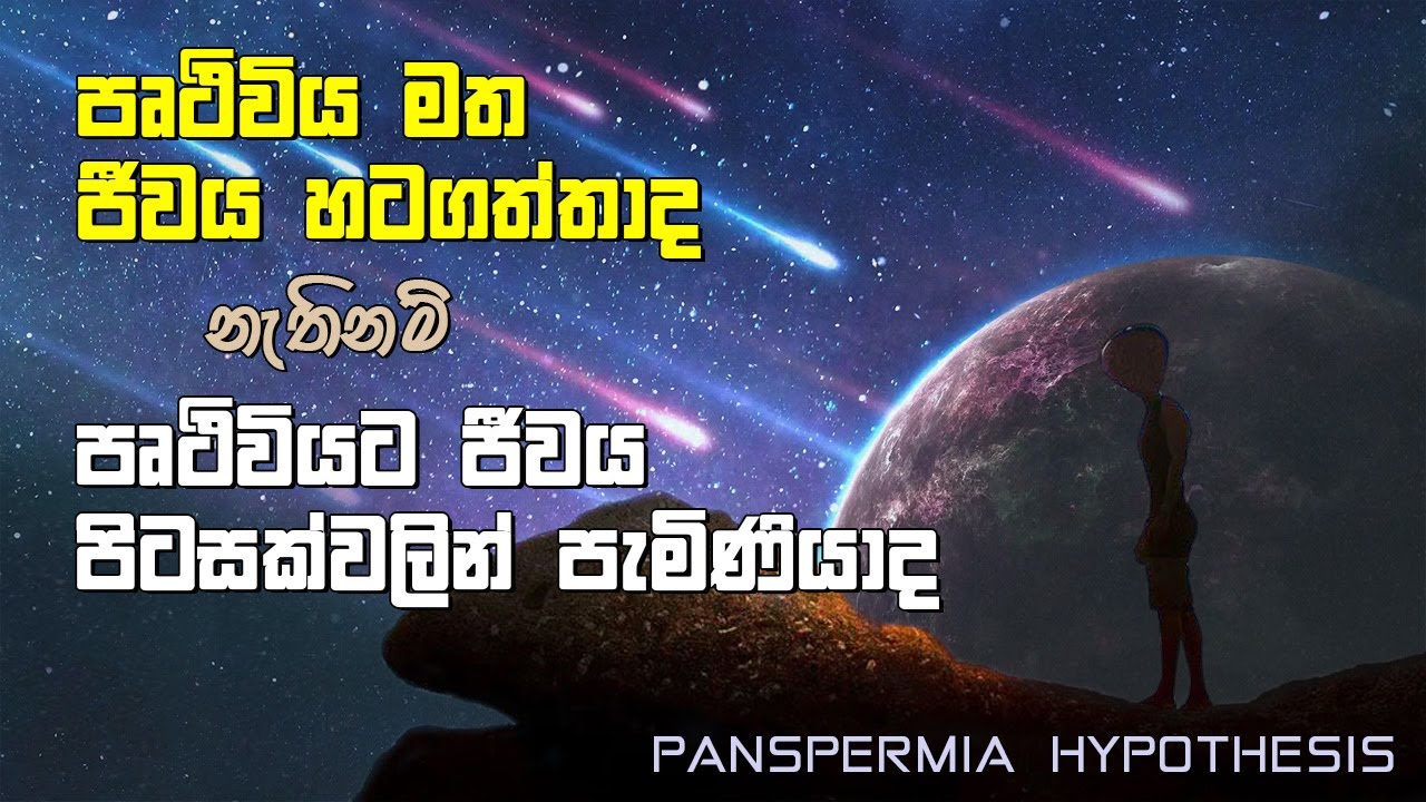 පෘථිවිය මත ජීවය හටගත්තා ද නැතිනම් පෘථිවියට ජීවය පිටසක්වලින් පැමිණියා ද