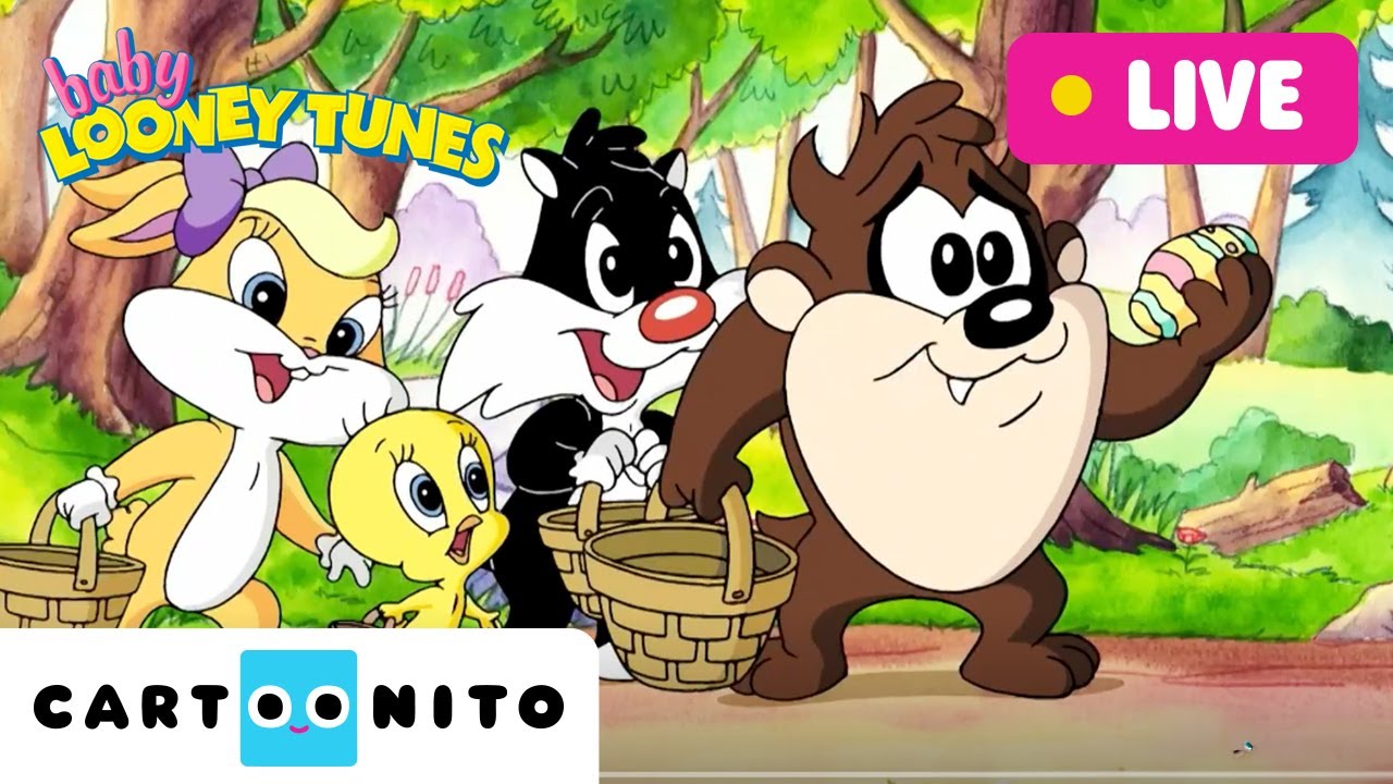 🔴 LIVE: BABY LOONEY TUNES | Fun, Teamwork and Stories | Cartoons for Kids | @cartoonito