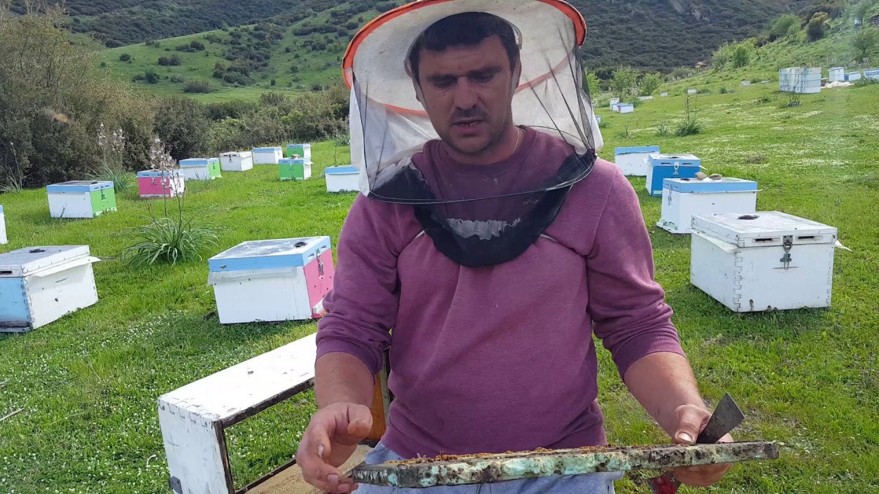 Ανοιξιάτικη ανάπτυξη ( γ μέρος ) εκτίμηση και τοποθέτηση πλαισίων
