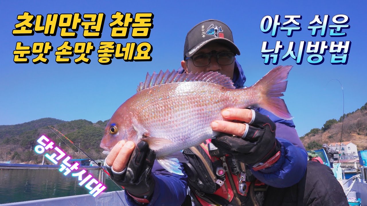 [통영로기] 469회 3월 당고낚시대로 참돔 손맛 보니 쥑이네요