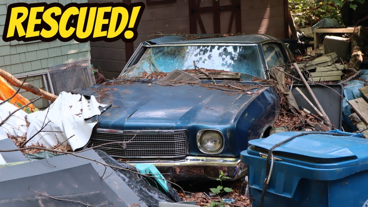 FREE ABANDONED VEHICLES RESCUED FROM HOARDER HOUSE