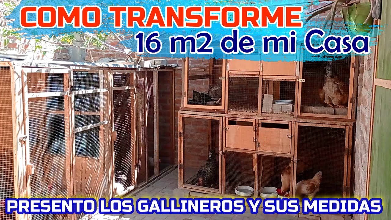▶ Mis 2 GALLINEROS Caseros 🐔 | Medidas del Proyecto de Gallineros en 🏡