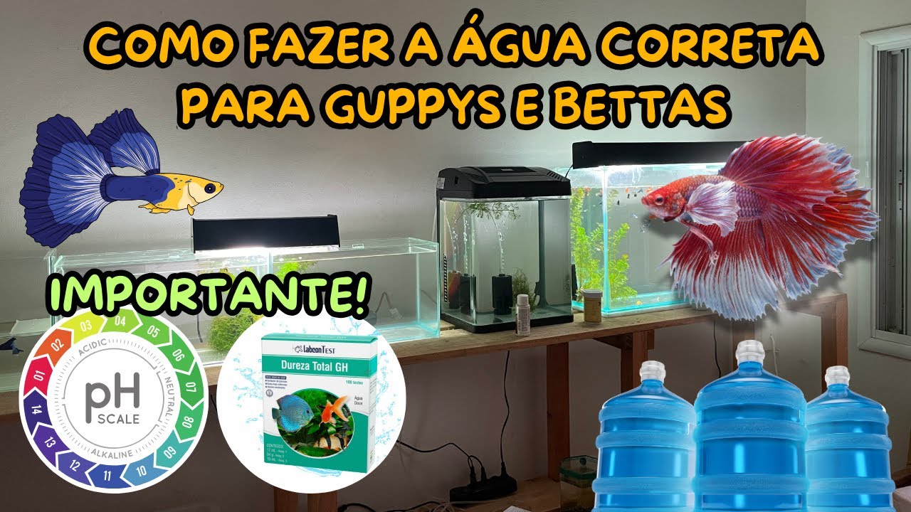 COMO FAZER A ÁGUA CORRETA PARA GUPPYS E BETTAS